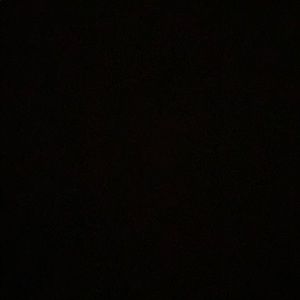 Meet your Posher, Delilah